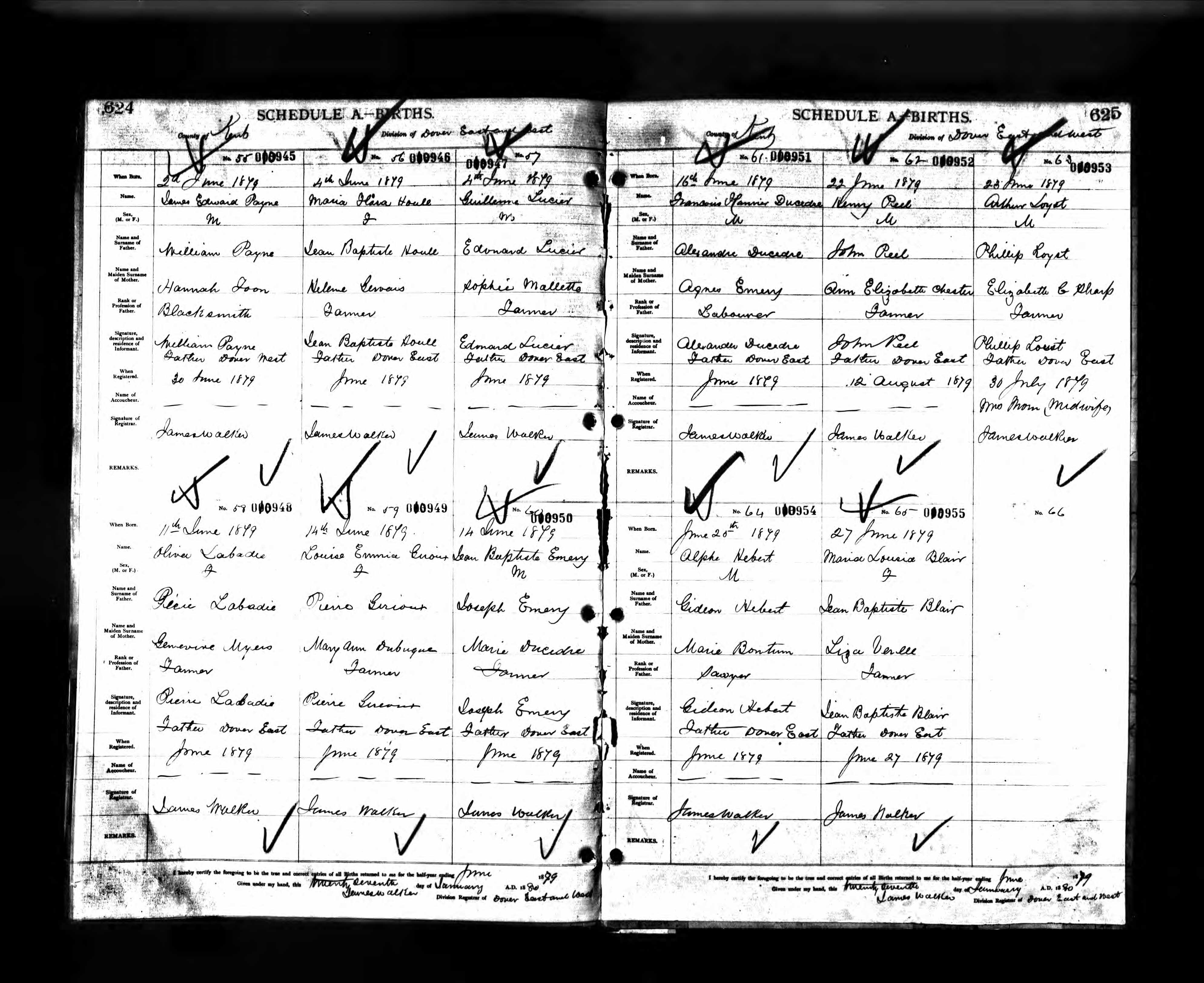 Enregistrement de la naissance