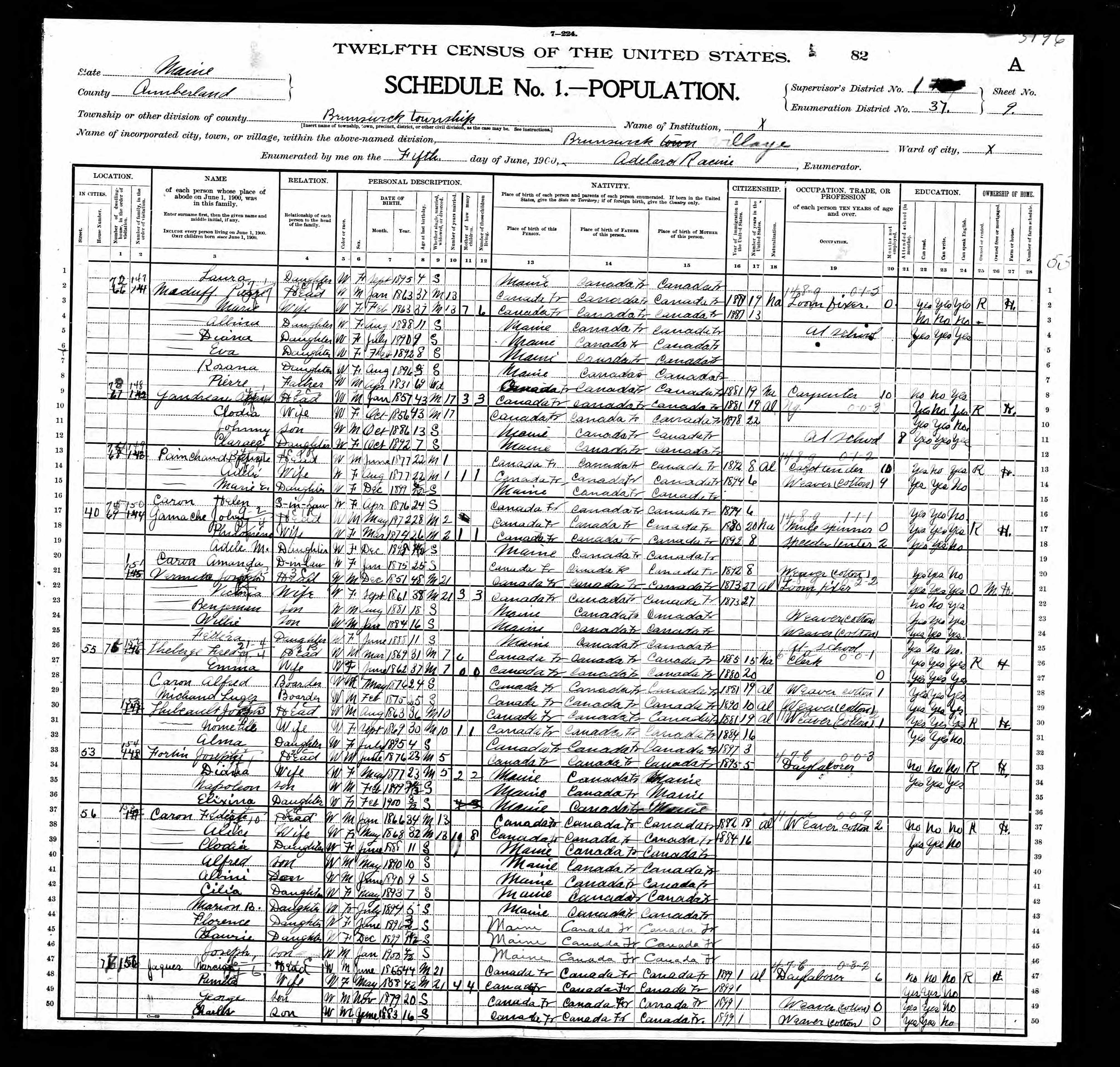 Recensement fédéral américain 1900