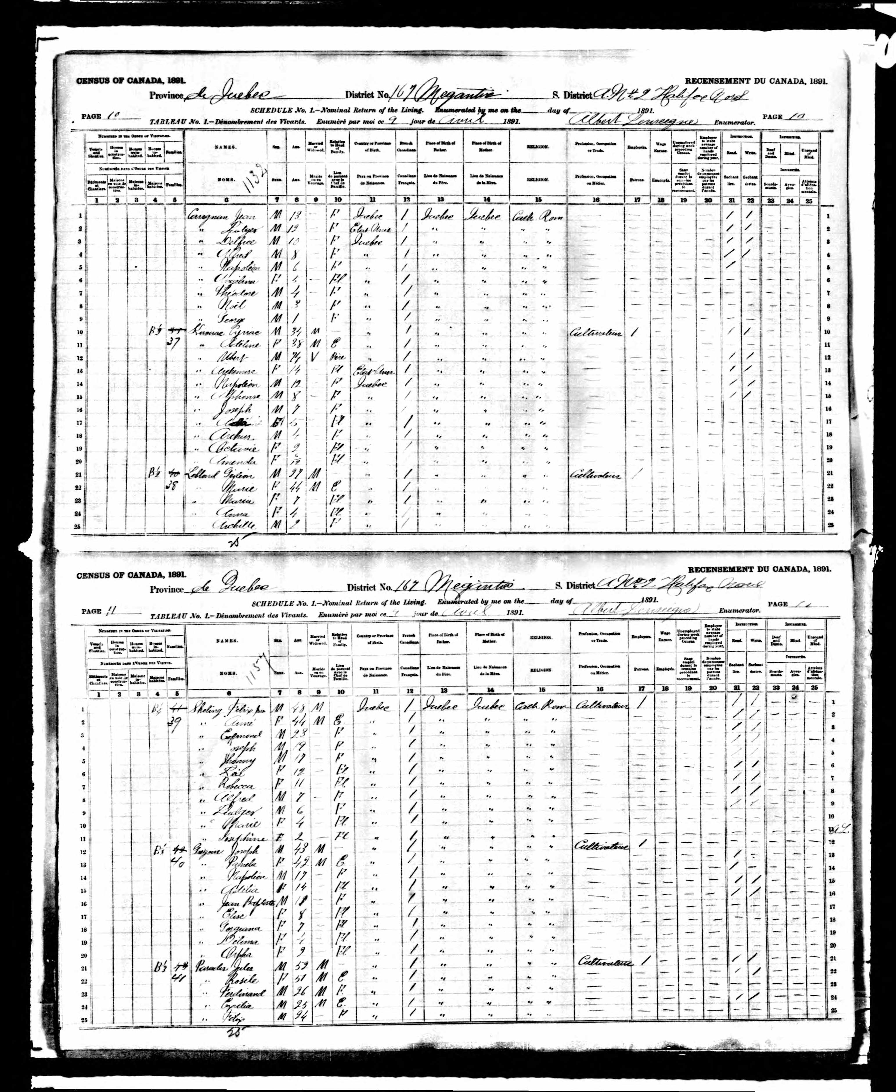 Recensement canadien 1891