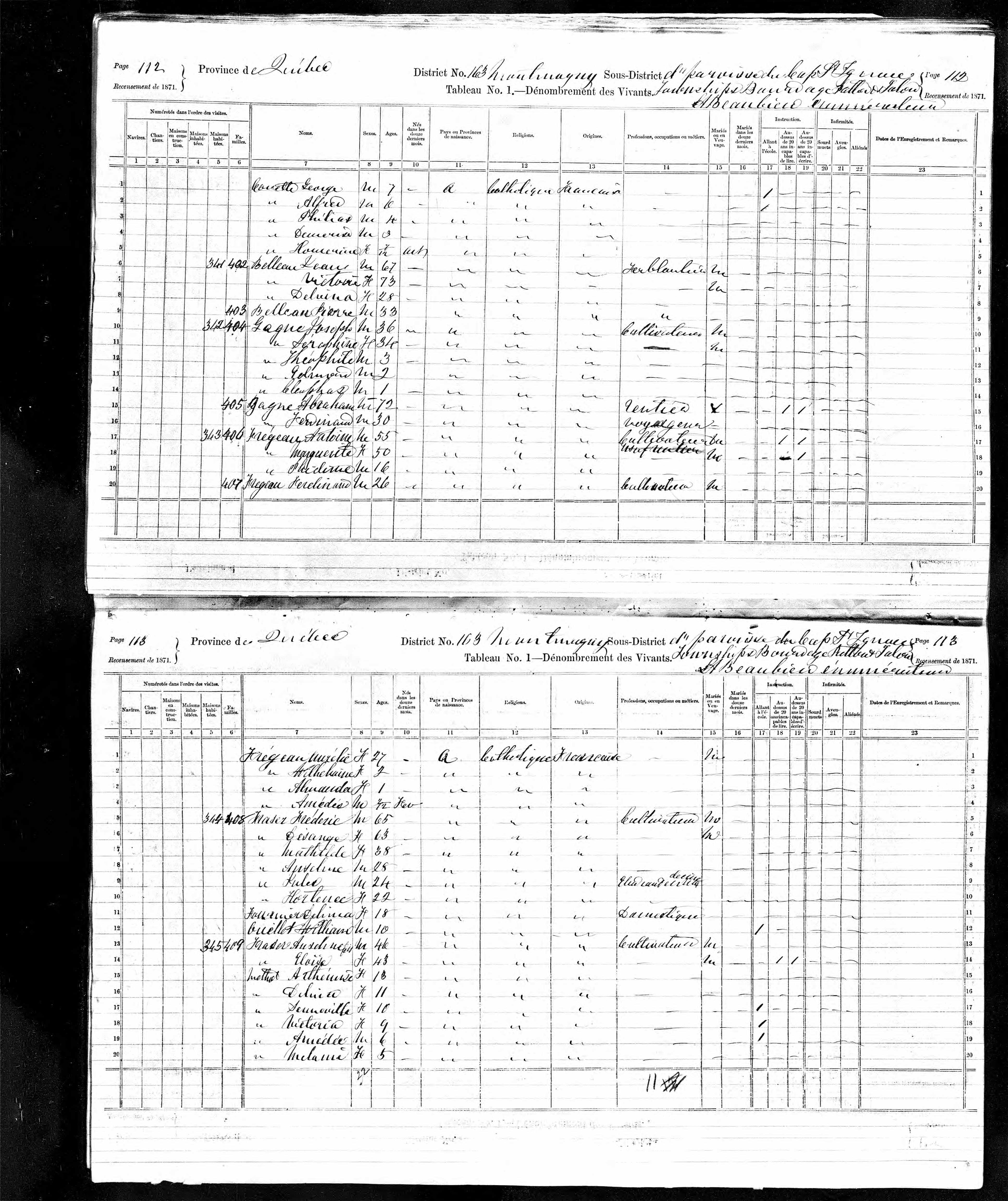 Recensement canadien 1871