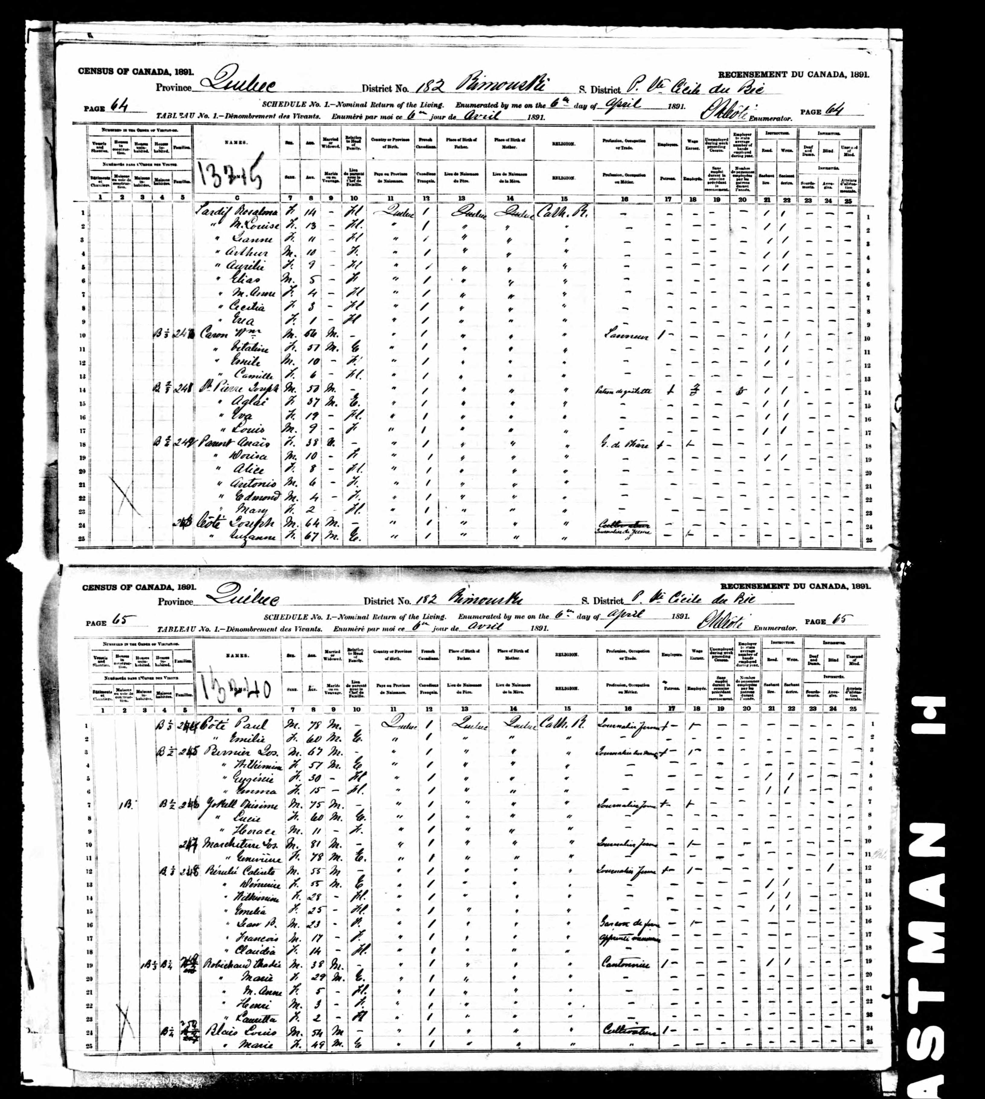 Recensement canadien 1891