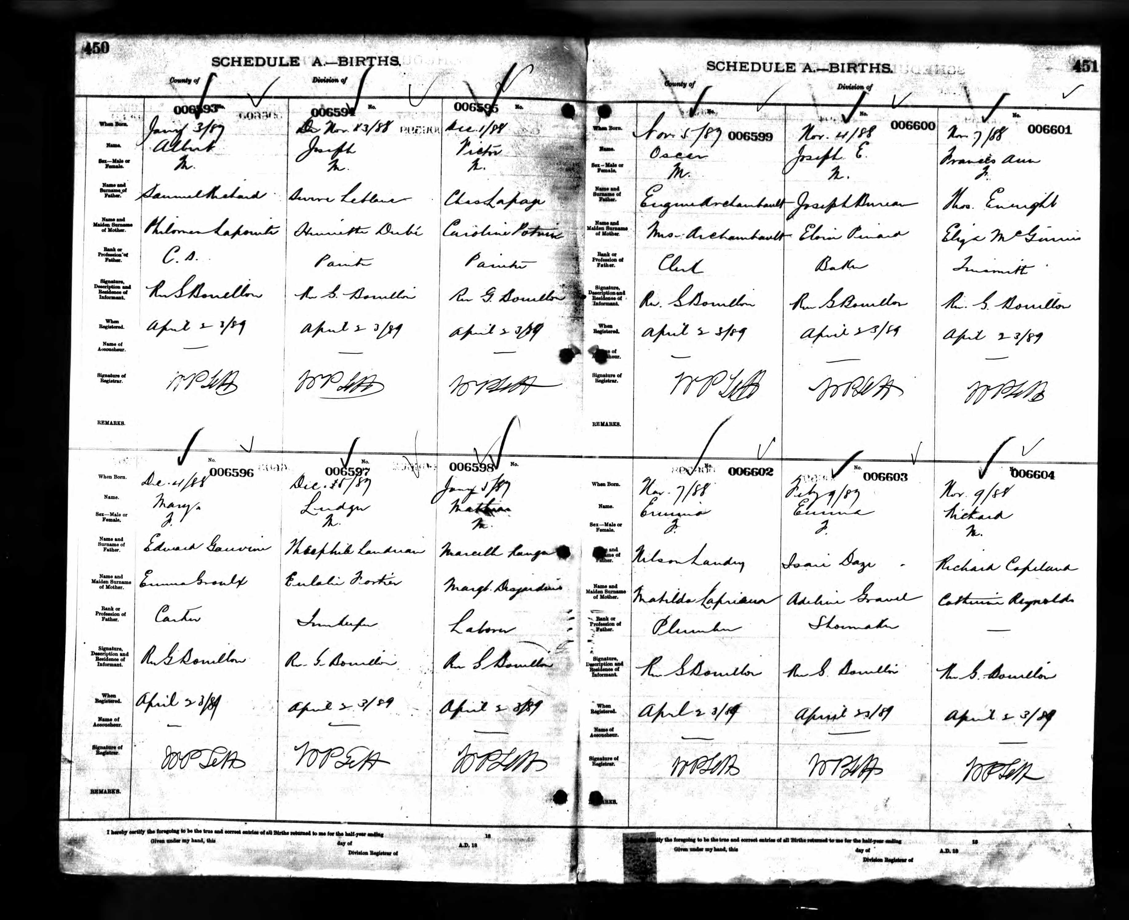 Enregistrement de la naissance