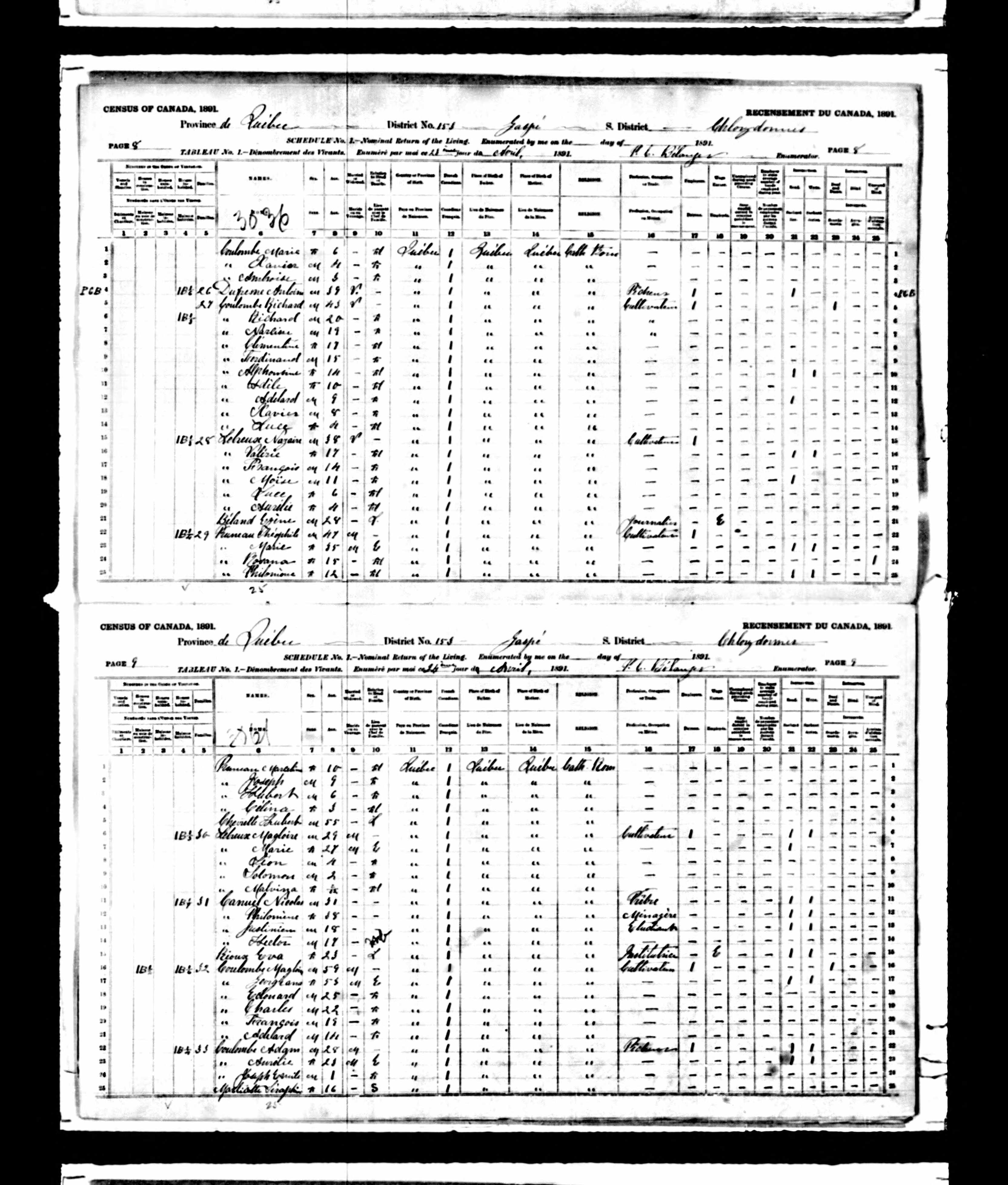 Recensement canadien 1891
