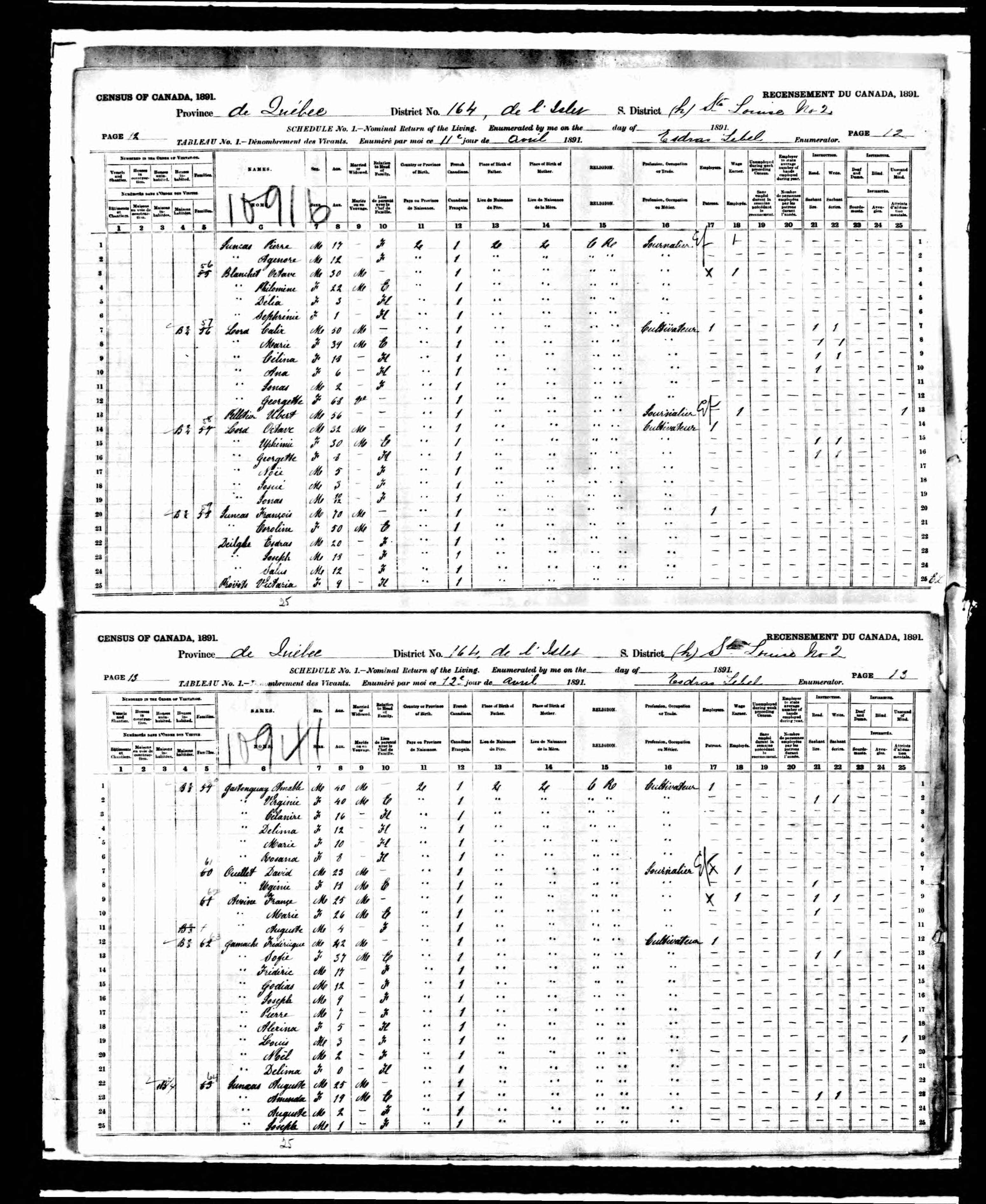 Recensement canadien 1891