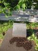 Monument funéraire